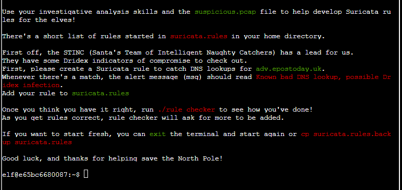 Suricata Regata Terminal